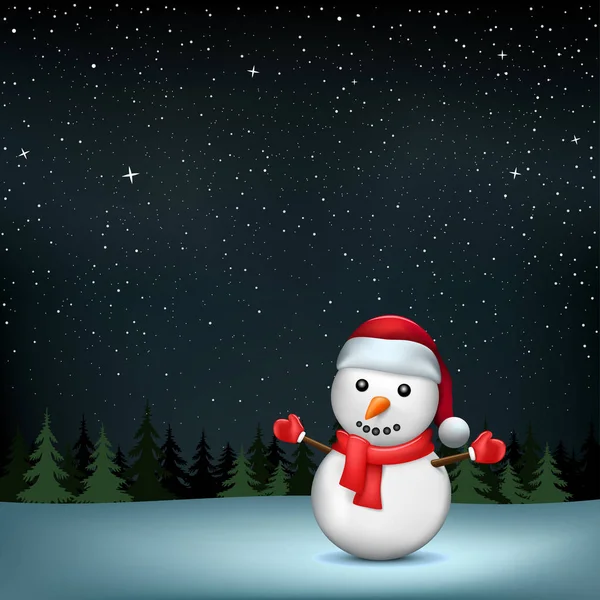 Snowman stars night wood — Stock Vector