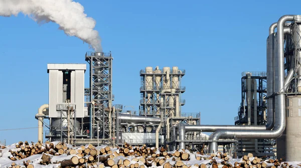 Timber processing industry factory — Stock Photo, Image