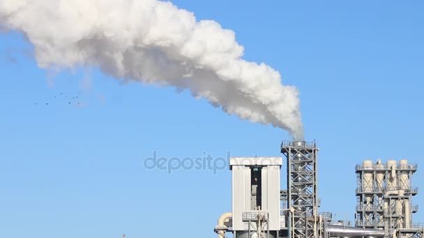 Contaminación por humo y aves — Vídeo de stock