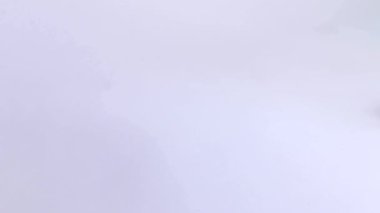 Beyaz arka plan buğday düşüyor