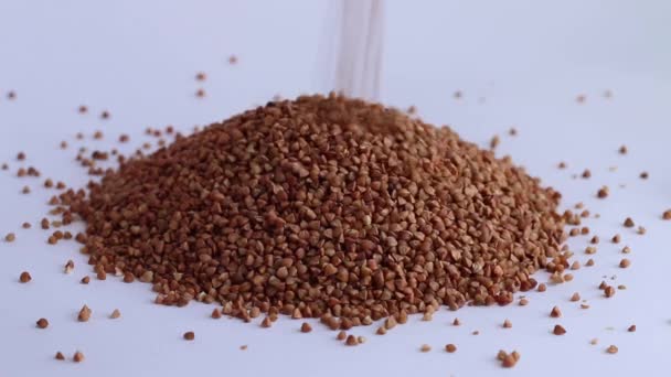 Buckwheat faller tillbaka — Stockvideo