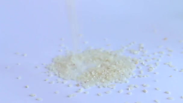 Зерно риса падает белый фон — стоковое видео