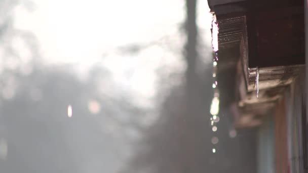 Jarní sníh rampouch tání střecha — Stock video