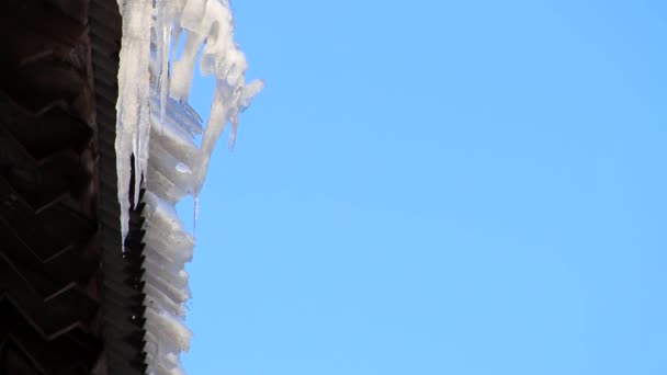 Jarní rampouchy roztavit modrá obloha — Stock video