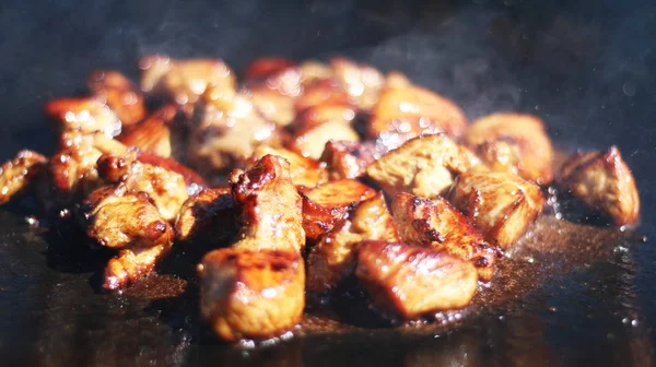 Nature meat fry pan — Stock Photo, Image