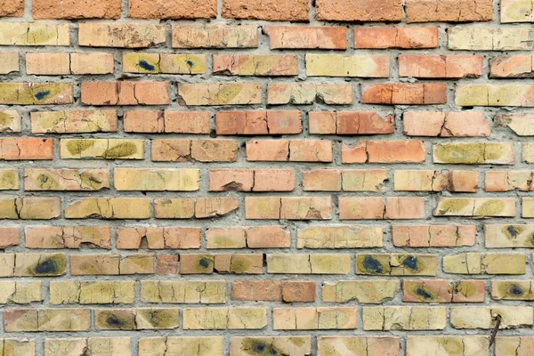 Rote Ziegelmauer — Stockfoto