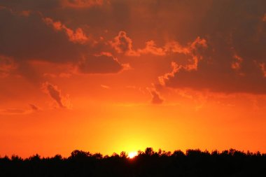 Fırtına bulutları günbatımı orman