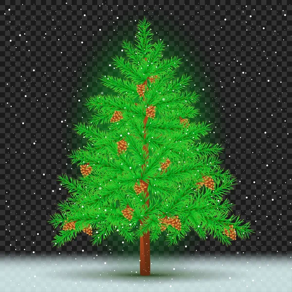 Spruce tree dark transparent background — Stock Vector