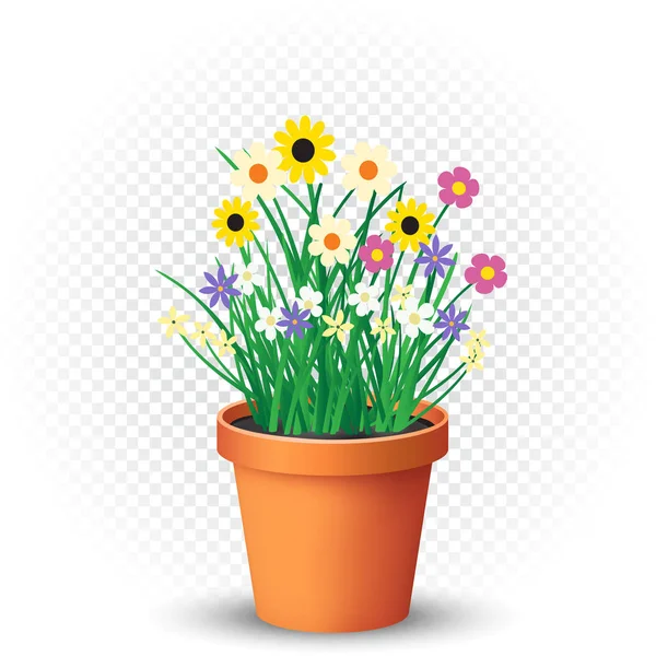 Virág nő a virágcserép átlátszó — Stock Vector
