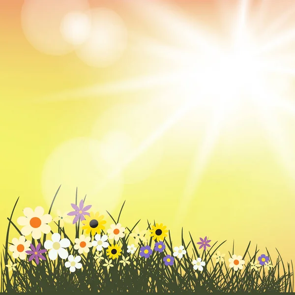 Zomer Bloemen Groeit Zonnestralen Gras Silhouet Avond Geel Oranje Zonneschijn — Stockvector