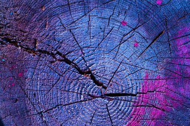 Bölüm arka planında çoklu renk sapı var. Ahşap mavi ve pembe desen arkaplan