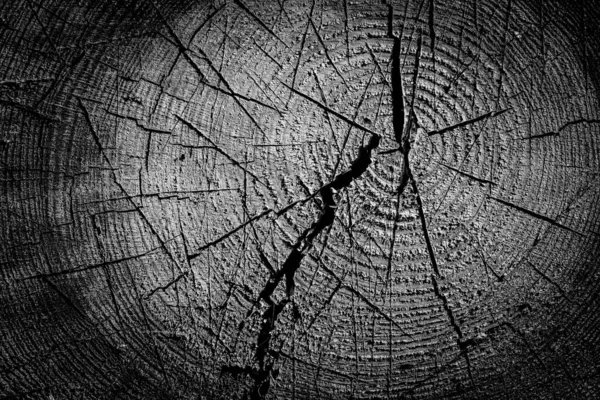 背景为黑色的树桩 木材深色纹理背景 — 图库照片