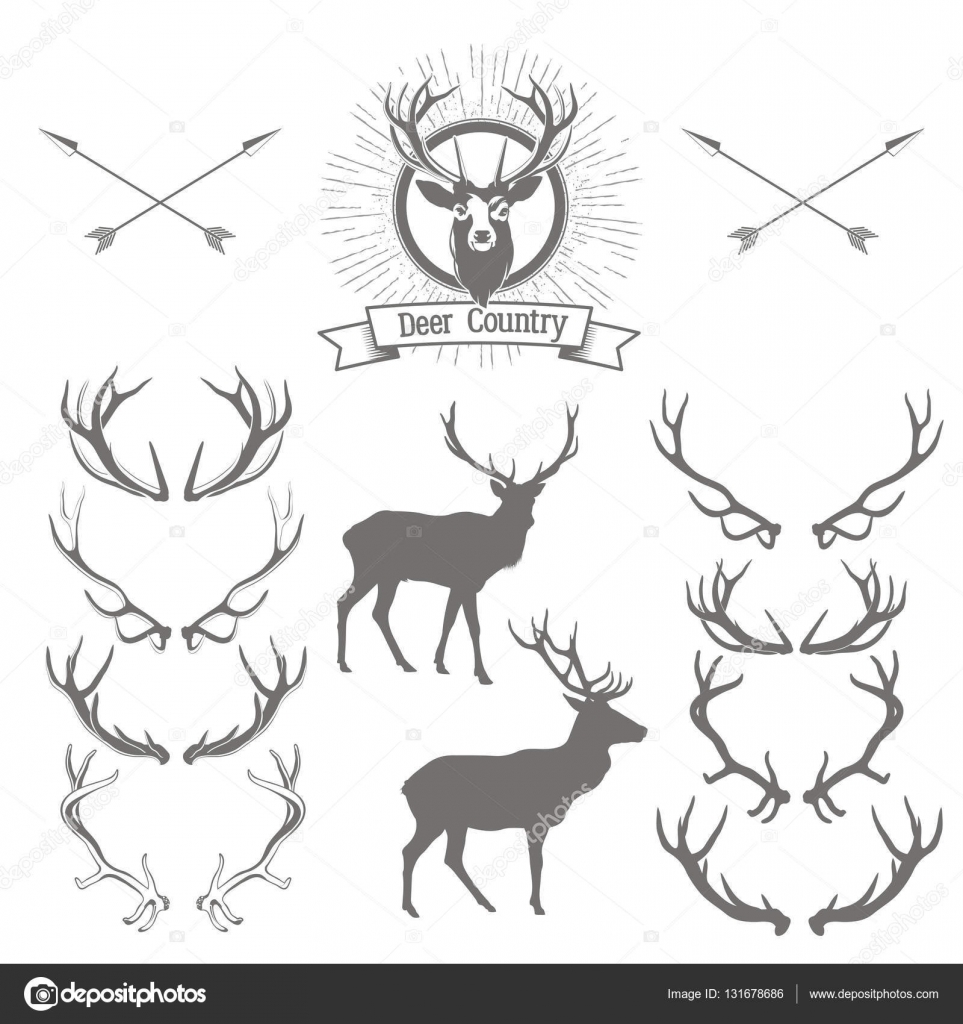 Et sett med hjorteskinn, hjortehode og gevir. Rådyrlogoen desig stockvektor  © Bienchen #131678686, image size:963x1024