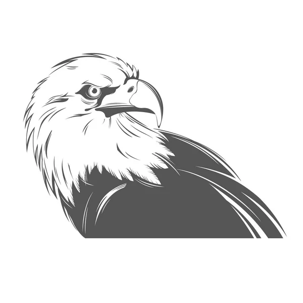 Hoofd van de adelaar in zwart-wit stijl — Stockvector