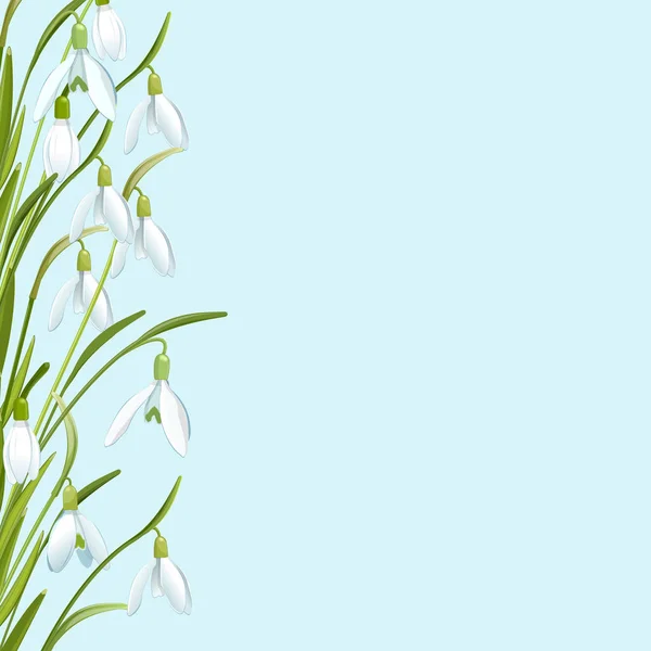 Fundo floral com flores de neve — Vetor de Stock