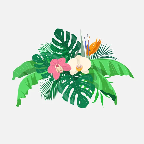 Skład liści tropikalnej i egzotycznych kwiatów — Wektor stockowy