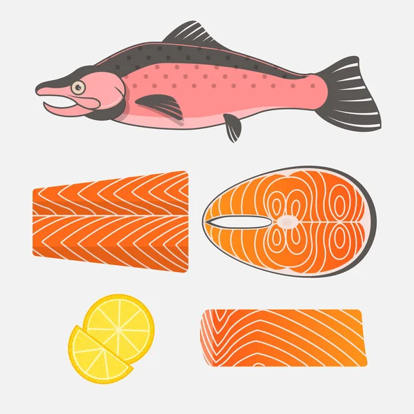 Ikan salmon dan daging salmon di latar belakang putih. Salmo mentah segar - Stok Vektor