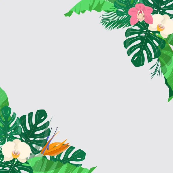 Fond floral aux feuilles tropicales et fleurs exotiques — Image vectorielle