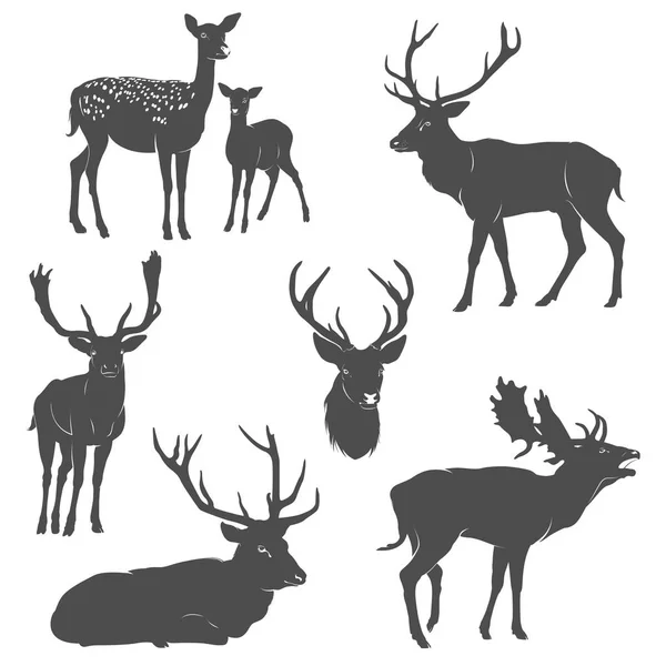 Conjunto vectorial de siluetas de ciervo en diferentes poses — Archivo Imágenes Vectoriales