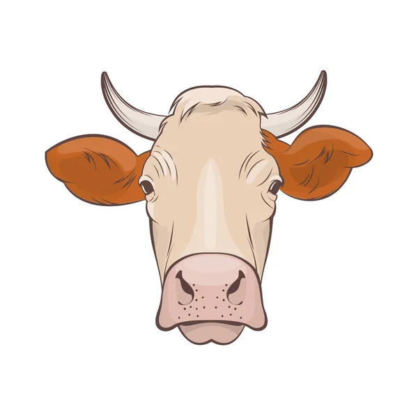 Cabeza de vaca sobre fondo blanco — Vector de stock