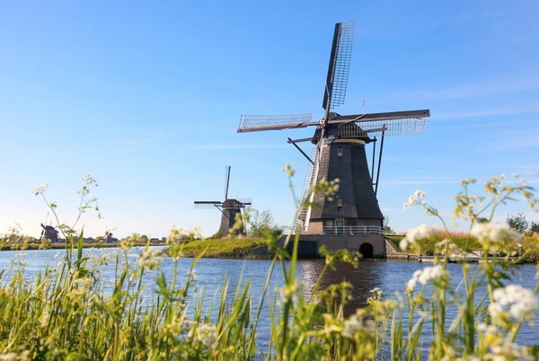 Molinos de viento holandés tradicionales cerca del canal en Kinderdijk — Foto de Stock