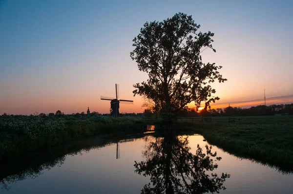 Salida del sol con árbol viejo y molino de viento holandés reflejado en el agua — Foto de Stock