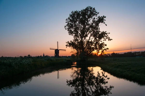 Napkelte-régi fa és holland szélmalom tükröződik a vízben — Stock Fotó