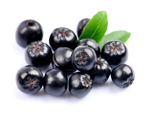 Aronia z bliska. — Zdjęcie stockowe