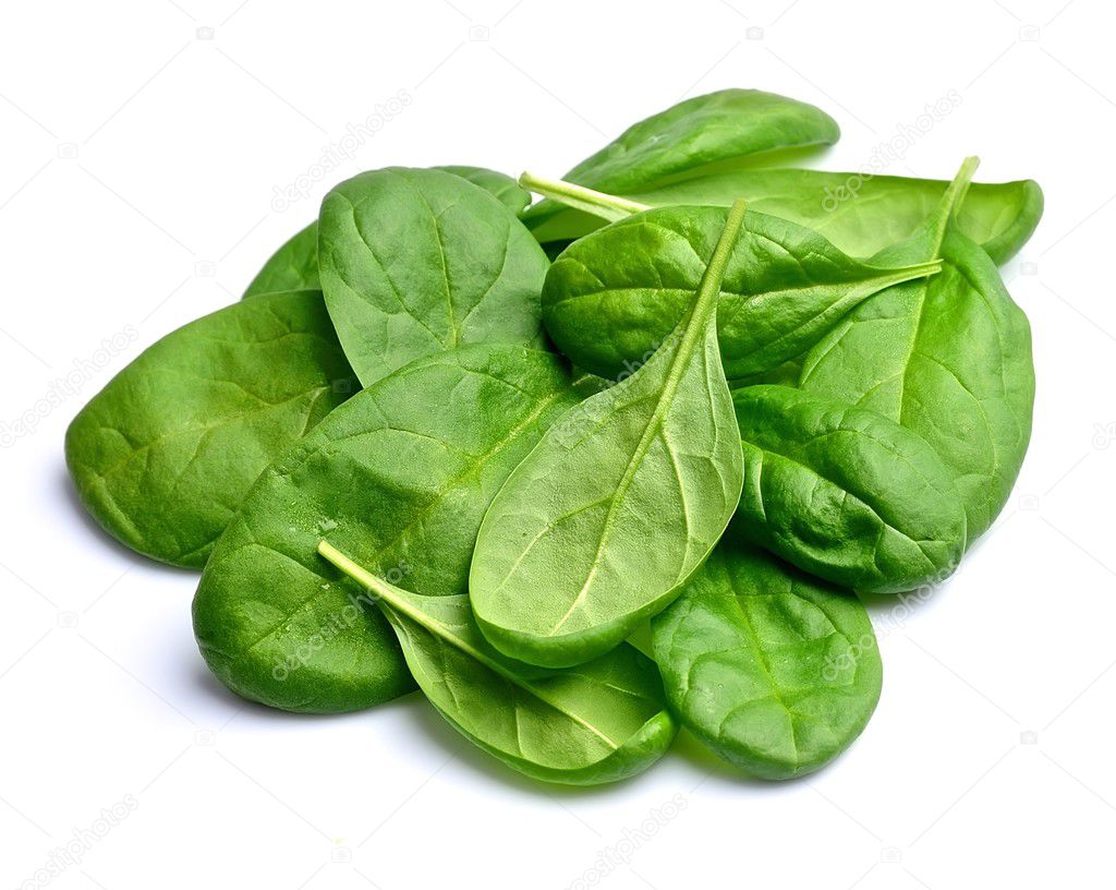 Spinach close up