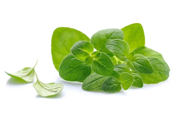 Oregano-Gewürze auf Weiß — Stockfoto