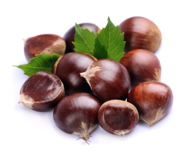 kestane ile yapraklar