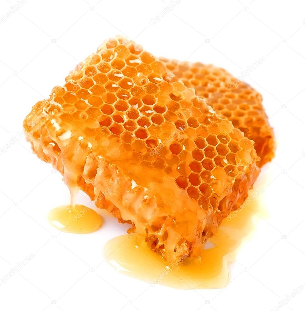 Honeycomb close up 