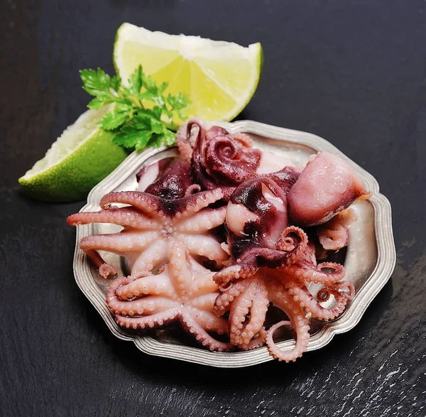 Chobotnice. salát zblízka na bílém — Stock fotografie