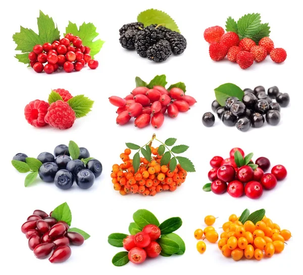 Collage of wild berry isolated — Stock Photo, Image
