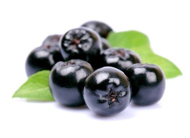 Chokeberry close up. clipart