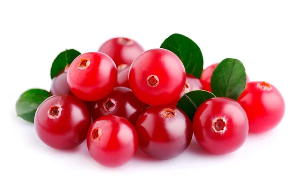 Süße Preiselbeeren mit Blättern — Stockfoto