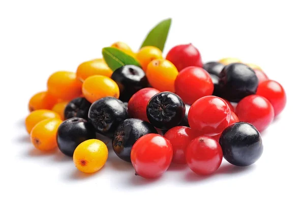 Nördliche Wildbeeren — Stockfoto