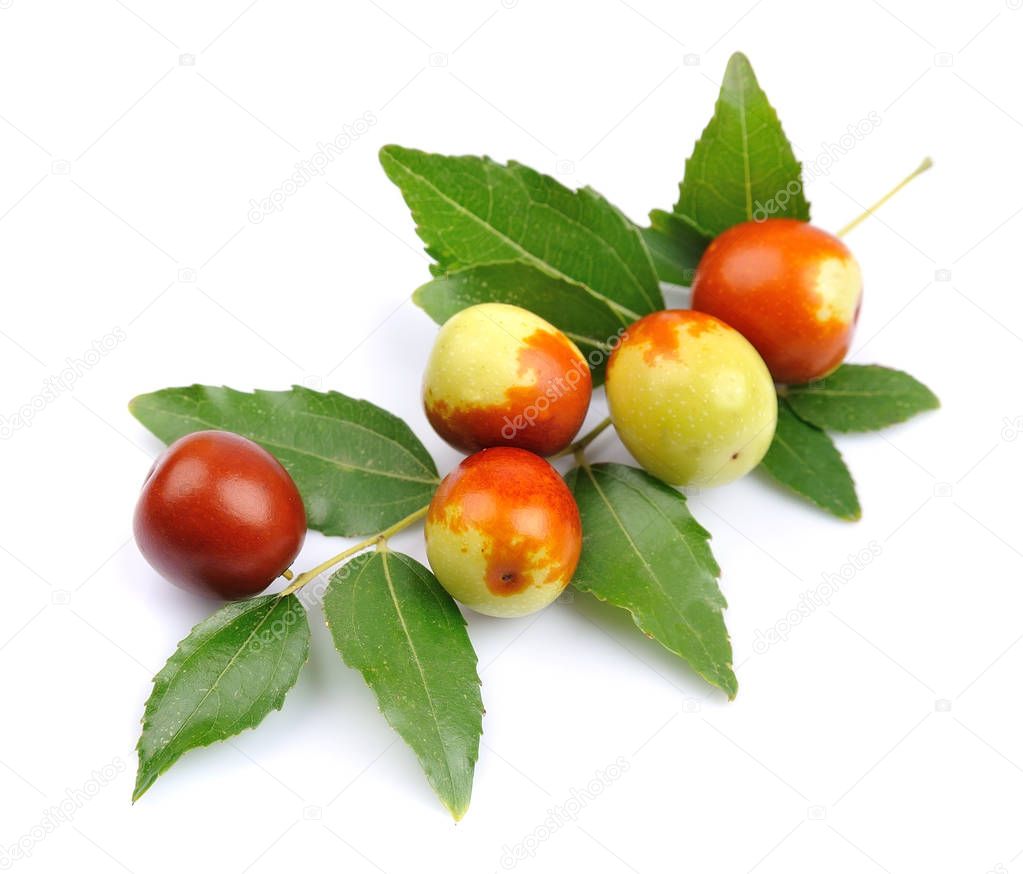 Branch of jujube fruits
