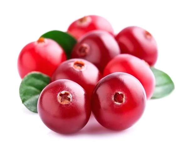 Cranberries with leafs. — Stock Photo, Image