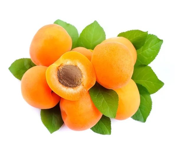 Sweet apricots isolated. — Stock Photo, Image