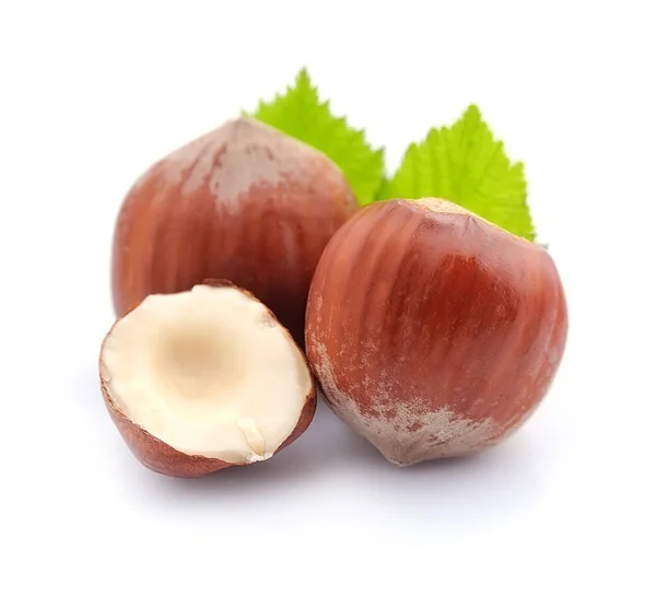 Filbert nuts with leaf. — Stock Photo, Image