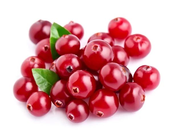 Cranberries with leafs . — Stock Photo, Image