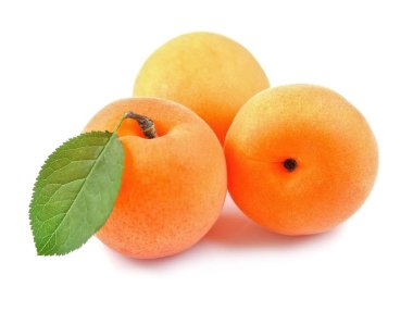 tatlı kayısı portre.