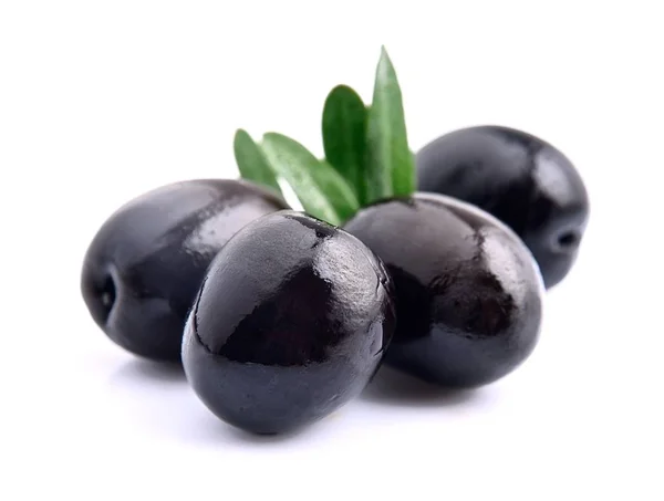 Olive owoce zbliżenie. — Zdjęcie stockowe