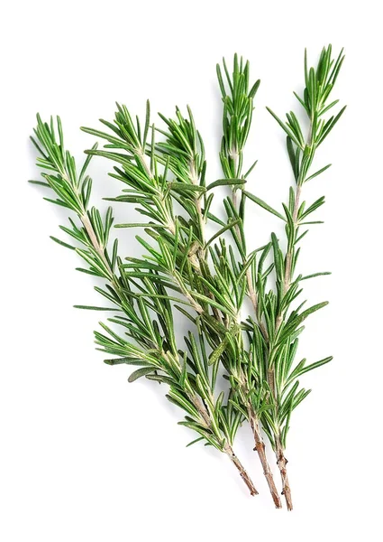 Twigs of rosemary closeup. — Stock Photo, Image