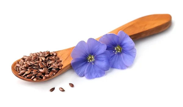 Flax blue flowers closeup. — Stock Photo, Image