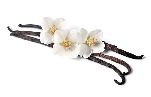 Çiçekli vanilya çubukları. — Stok fotoğraf