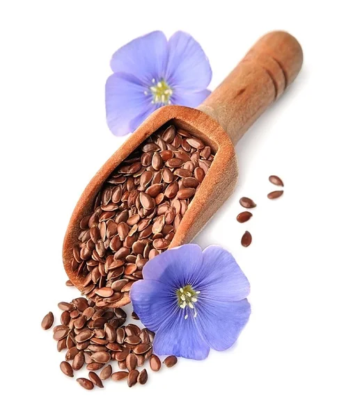 Flax seed and flax flowers closeup . — Stock Photo, Image