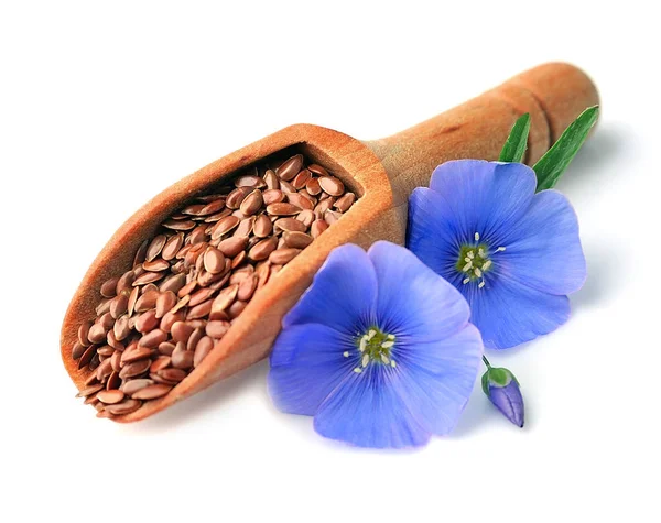 Flax seed and flax flowers. — Stock Photo, Image