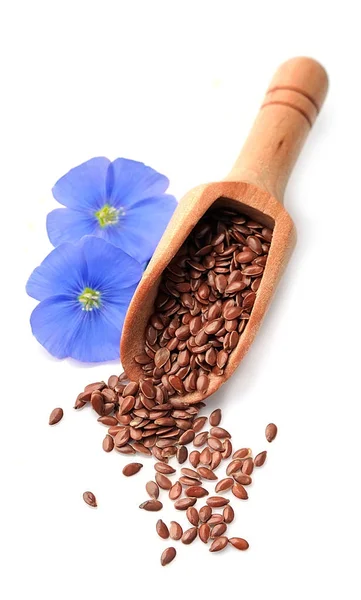 Flax seed and flax flowers . — Stock Photo, Image
